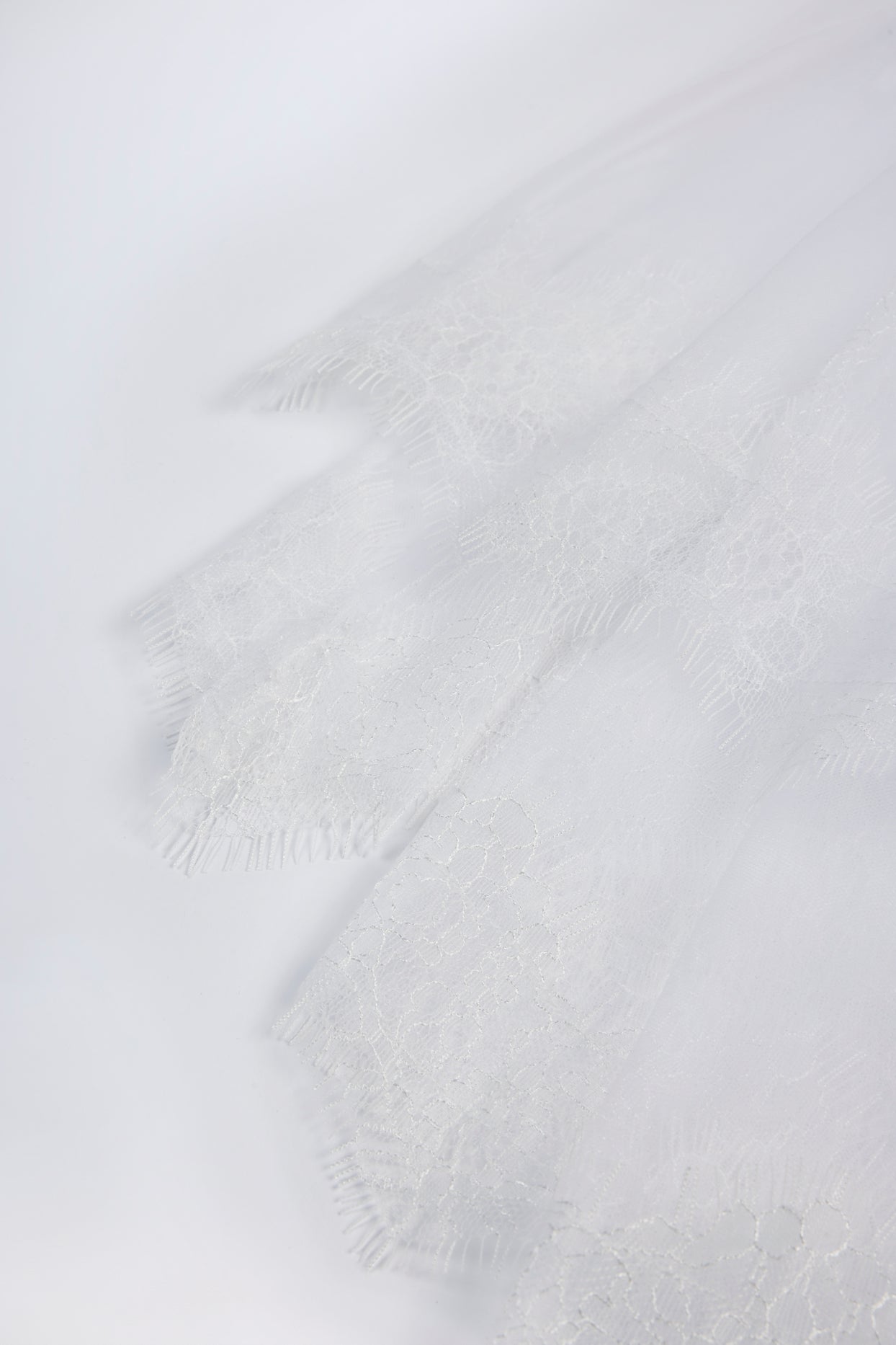 Lace-Trim Veil in White - 5