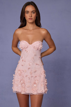 Embellished Bandeau A-line Mini Dress in Ballet Pink