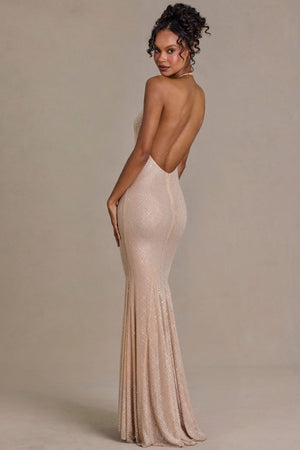 Premium Embellished Plunge-Neck Open-Back Gown in Beige Gold