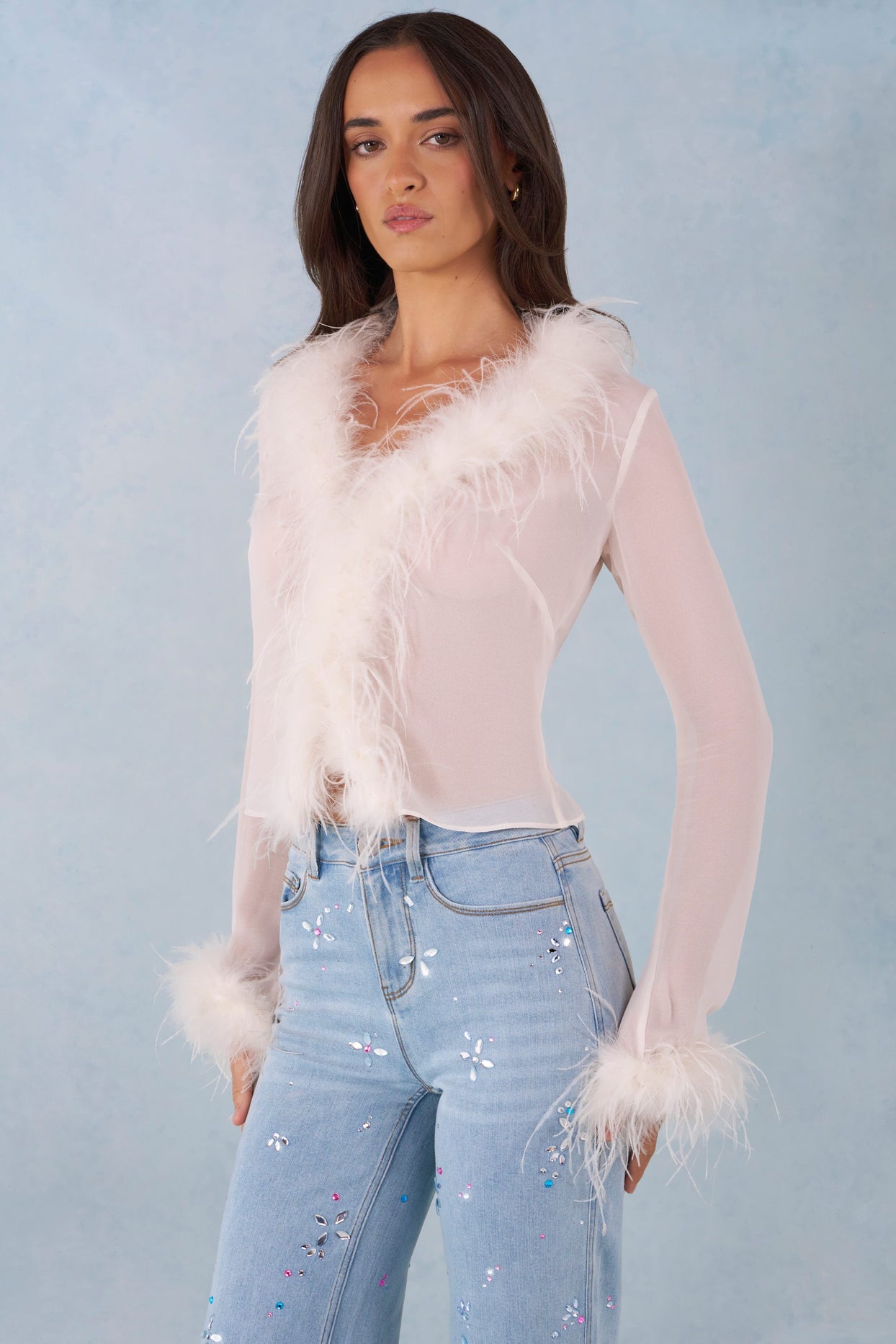 Feather Trim Sheer Top in Ivory - 7