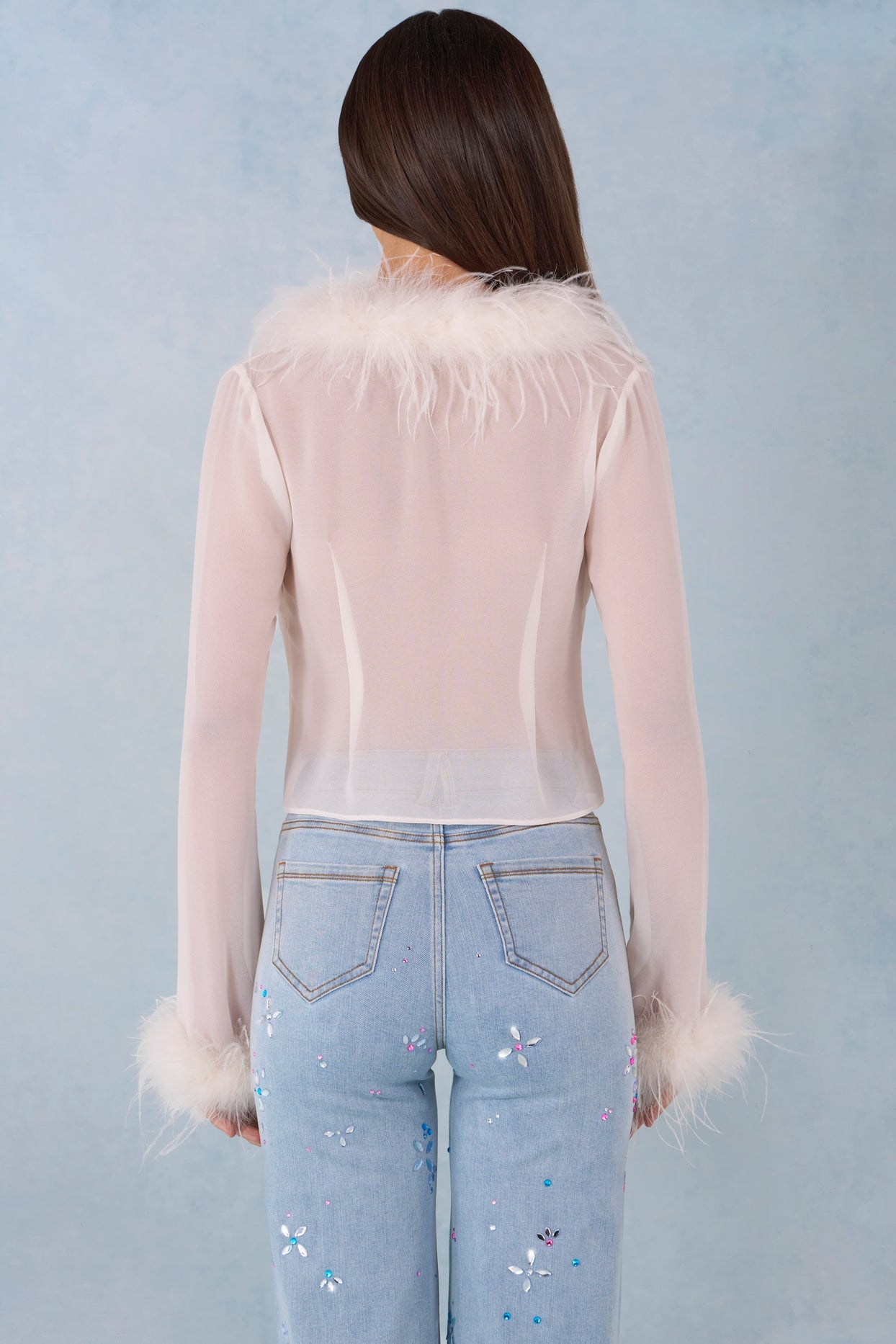 Feather Trim Sheer Top in Ivory - 3