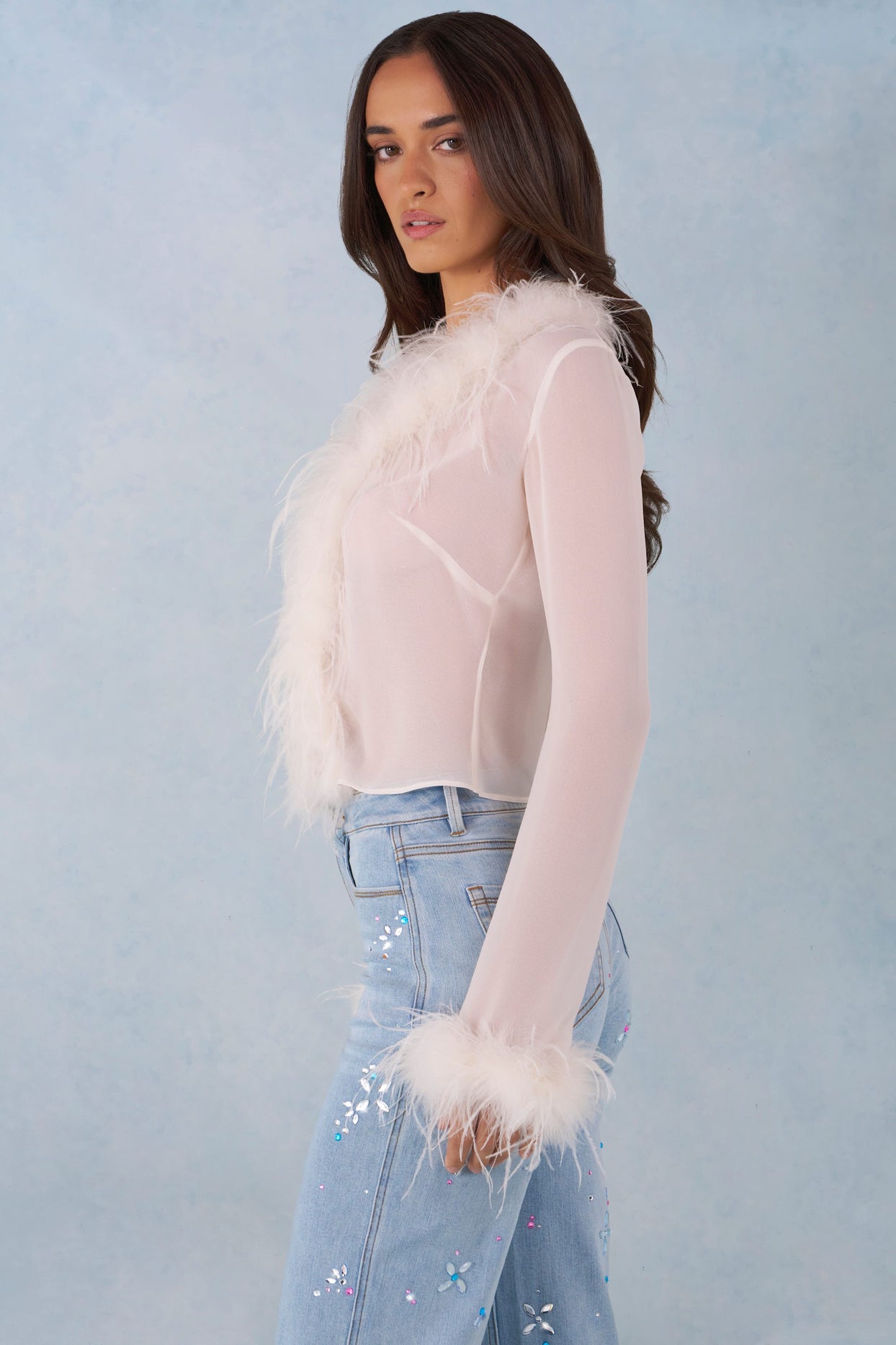 Feather Trim Sheer Top in Ivory - 6