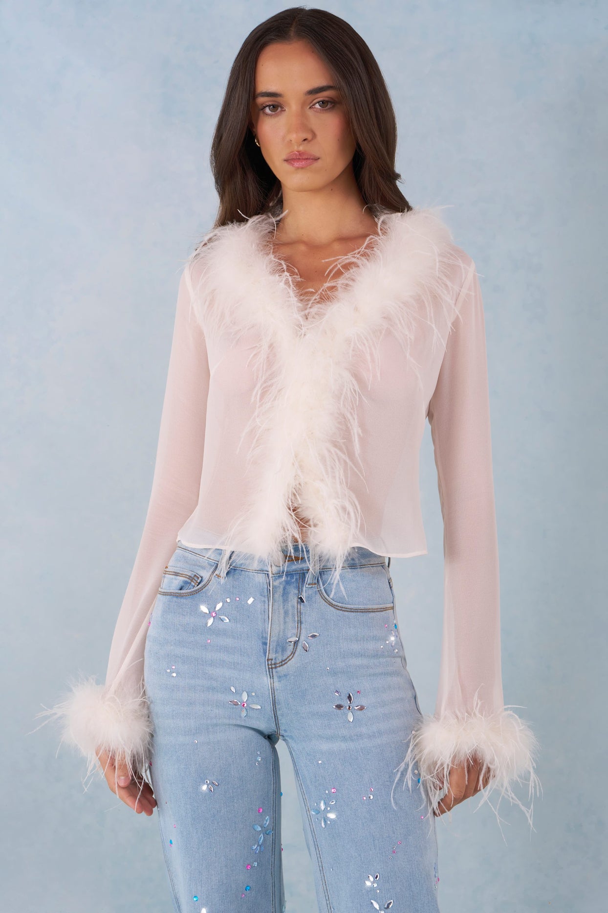 Feather Trim Sheer Top in Ivory - 5