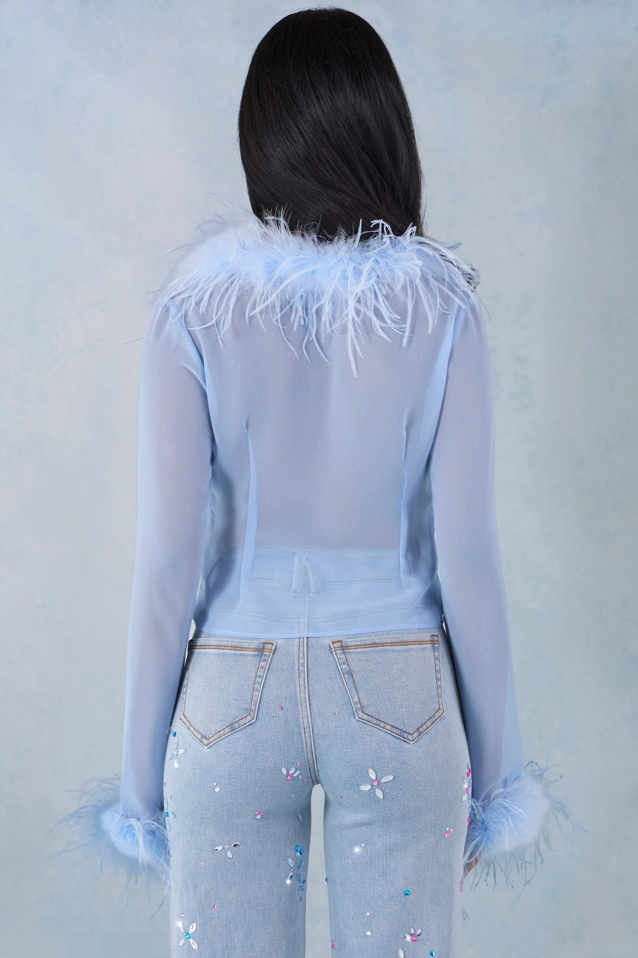 Feather Trim Sheer Top in Soft Blue - 5