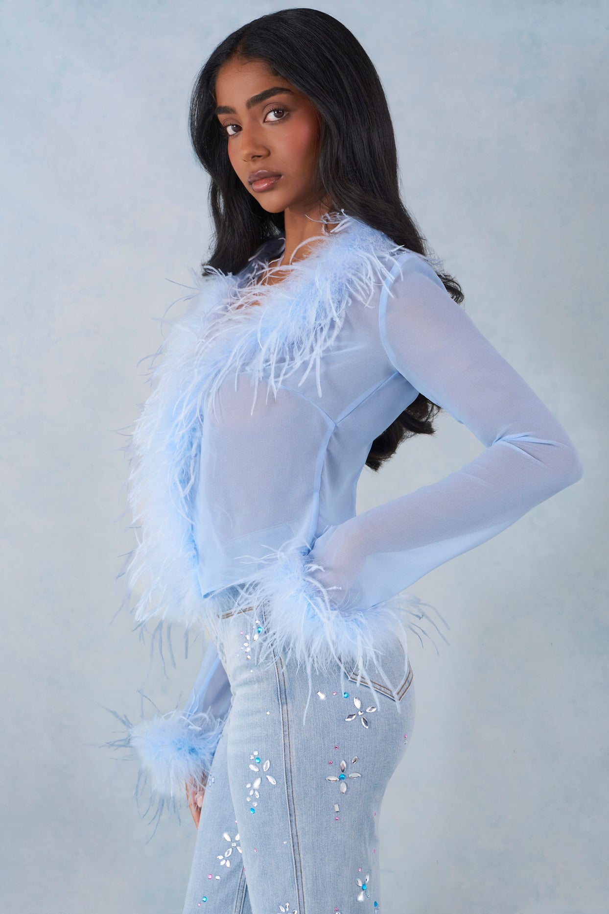 Feather Trim Sheer Top in Soft Blue - 3