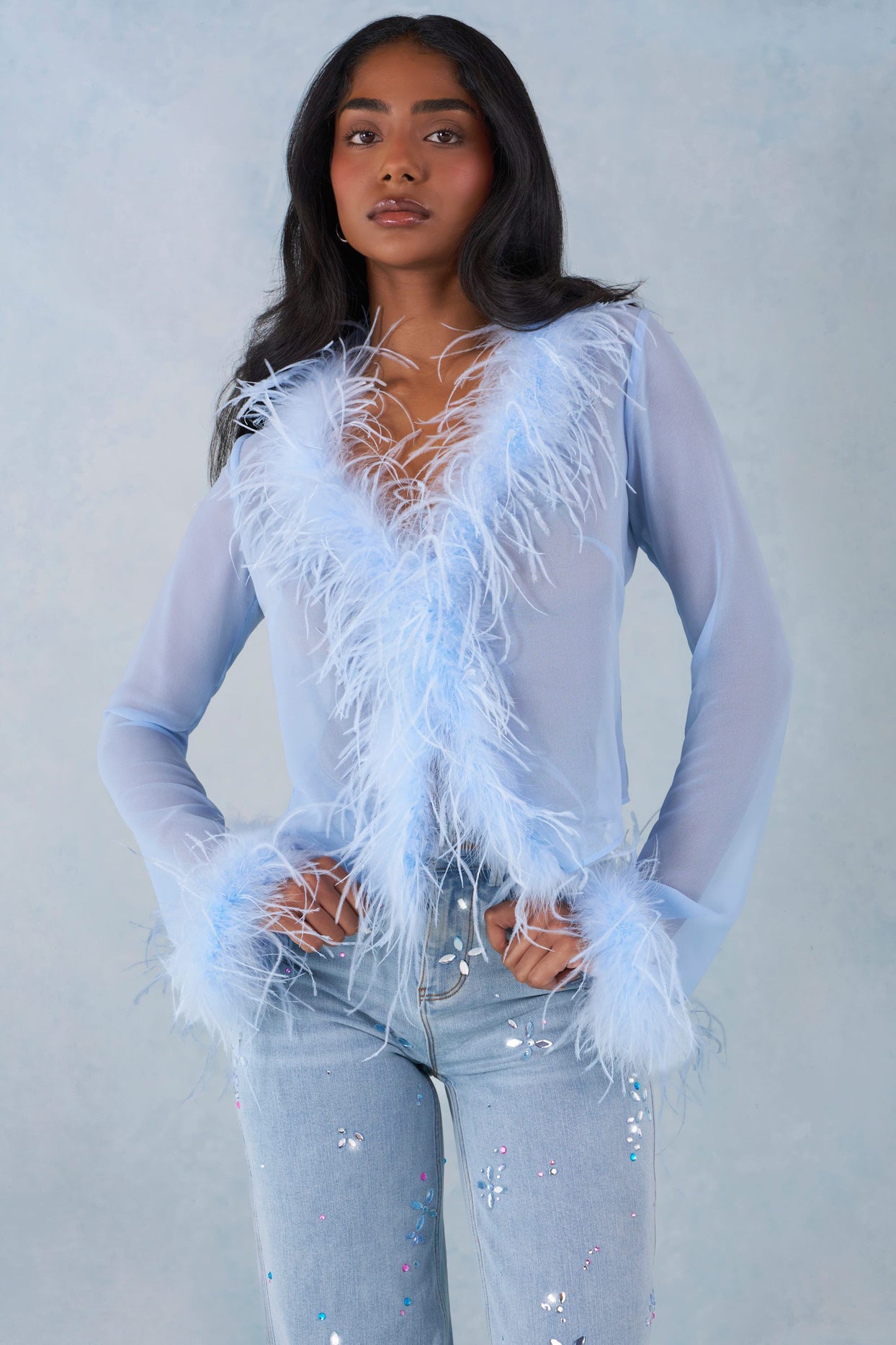 Feather Trim Sheer Top in Soft Blue - 6