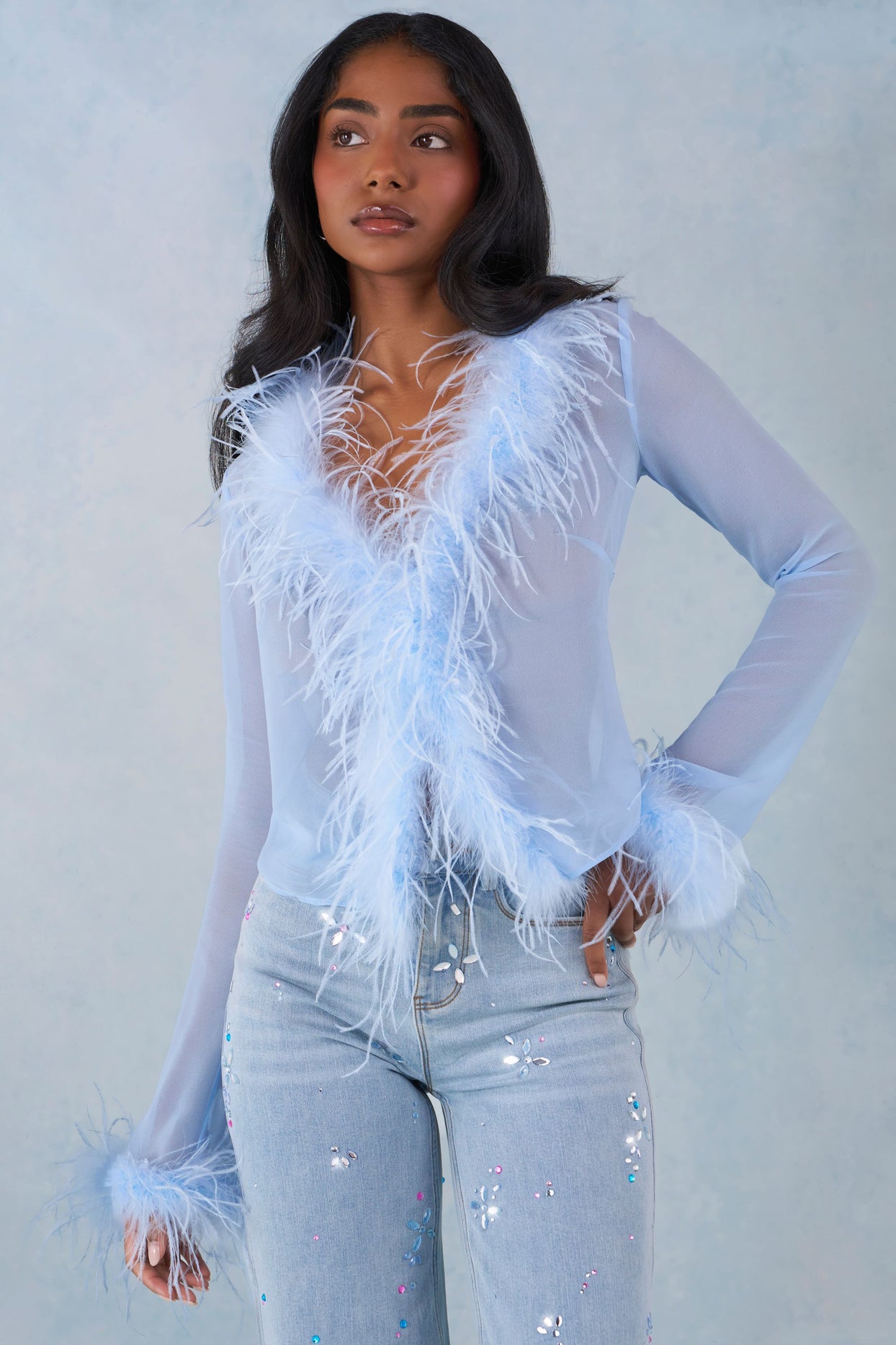 Feather Trim Sheer Top in Soft Blue - 7