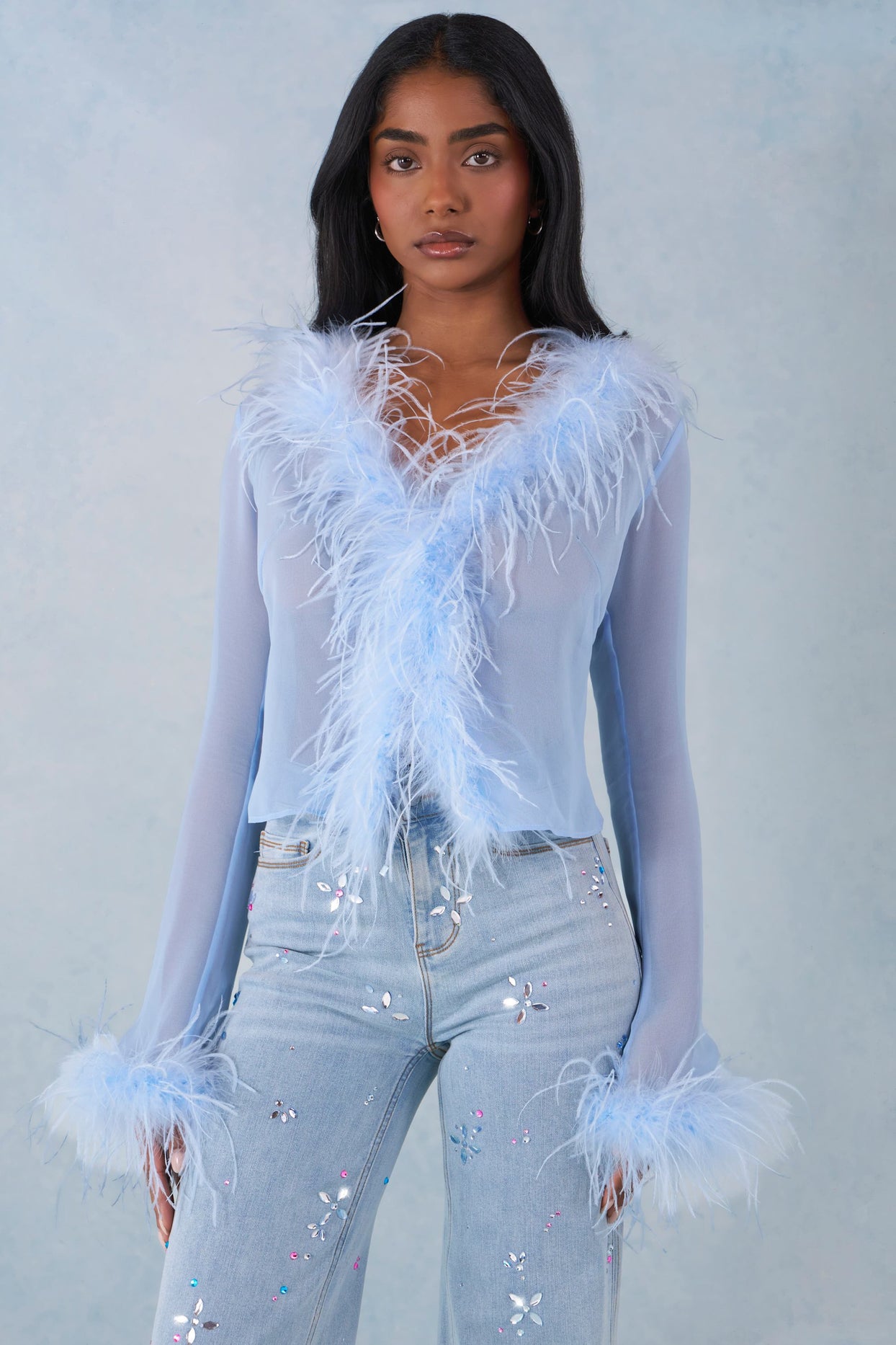 Feather Trim Sheer Top in Soft Blue - 4