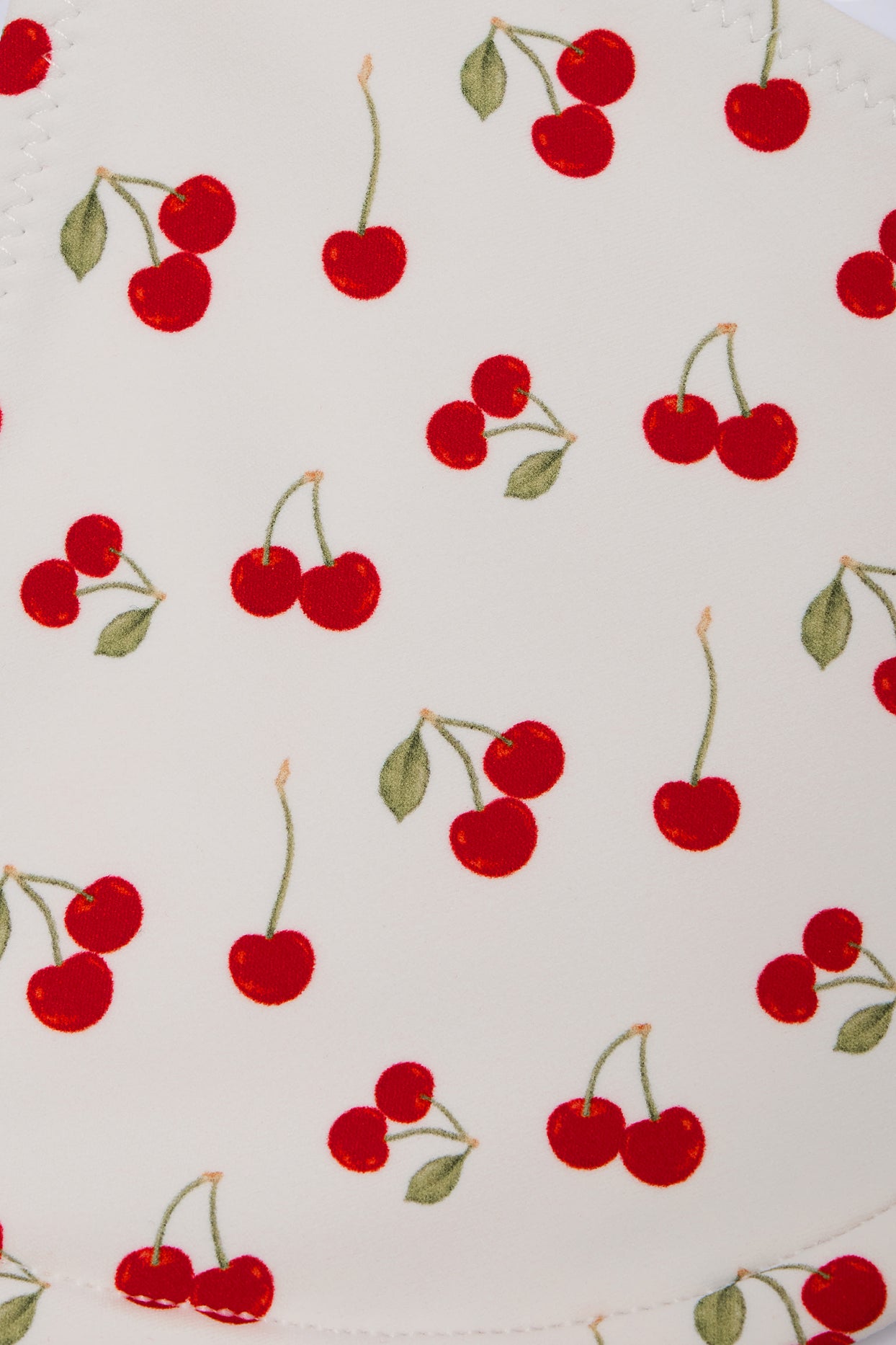 Charm-Detail Triangle Bikini Top in Cherry Print - 5