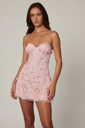 Embellished Bandeau A-line Mini Dress in Ballet Pink