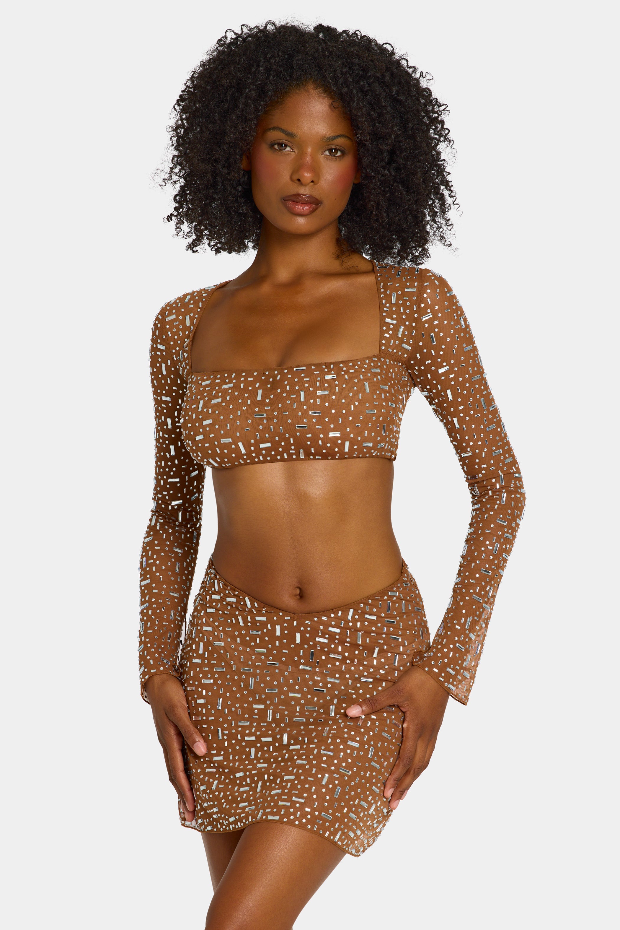 Sheer Embellished Long Sleeve Crop Top in Mocha