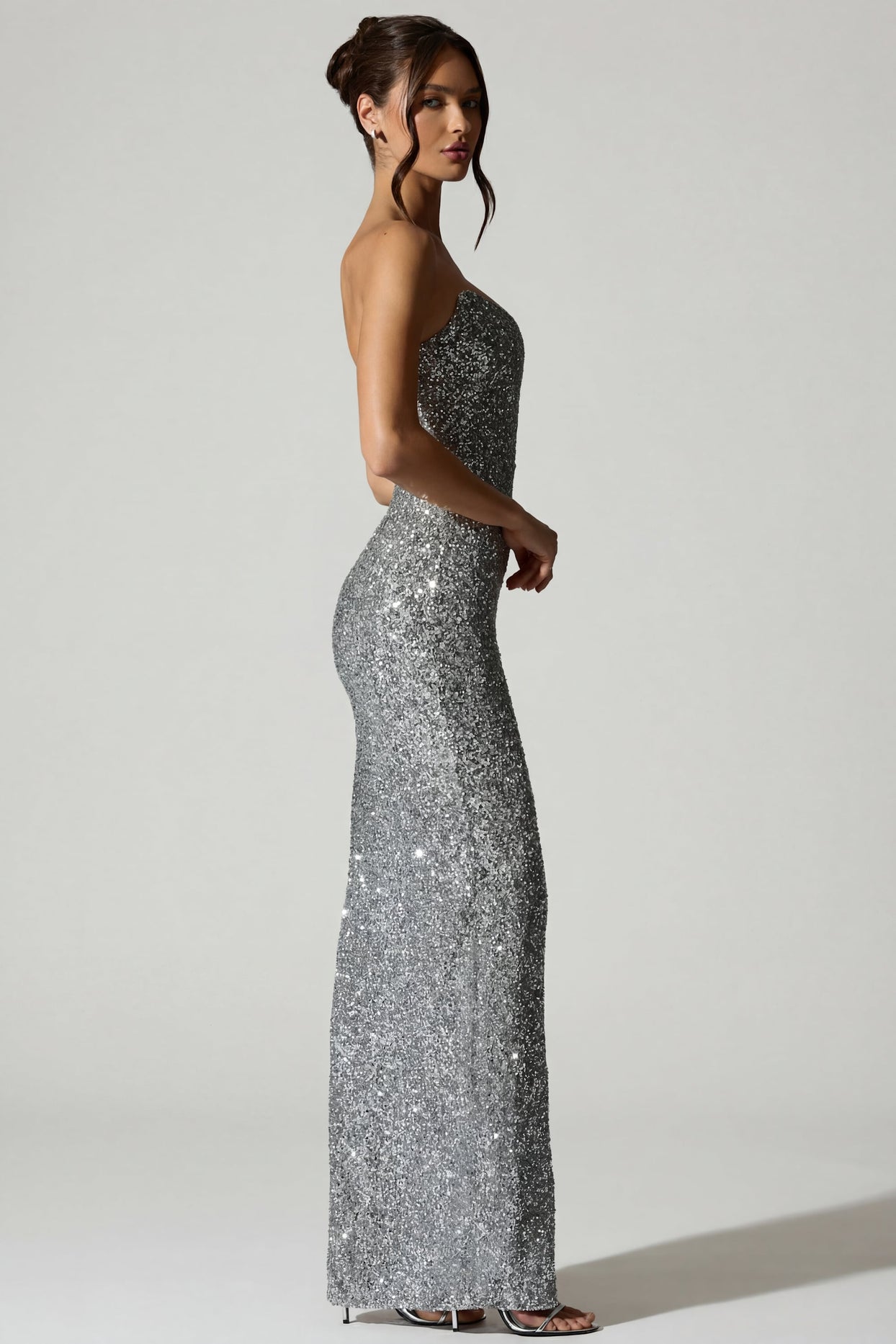 Embellished Corset Gown in Silver - 3