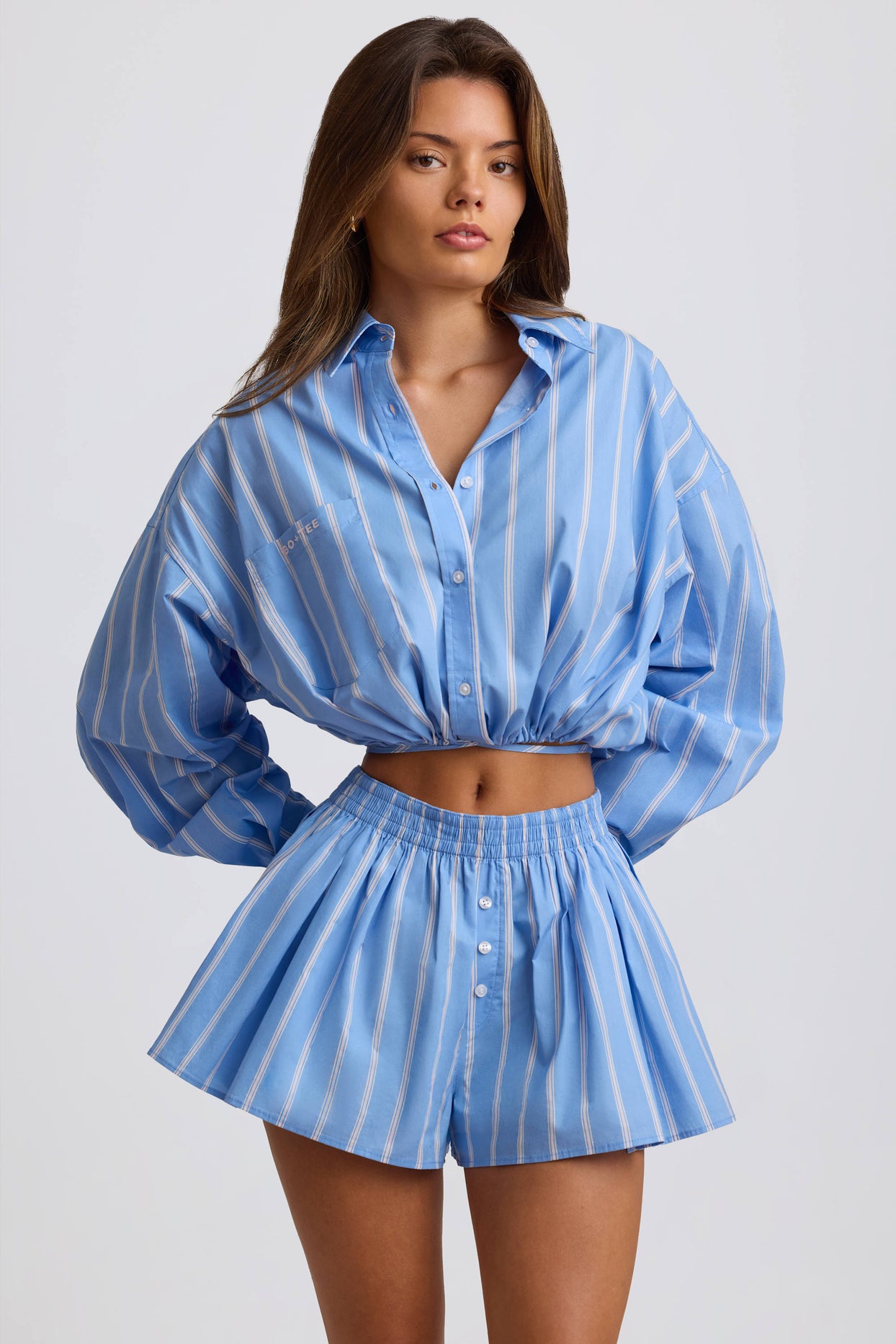 Cotton Poplin Stripe Pleated Shorts in Blue Stripe - 5