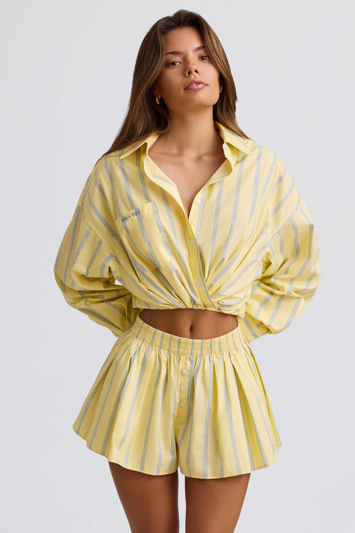 Cotton Poplin Stripe Pleated Shorts in Yellow Stripe - 5