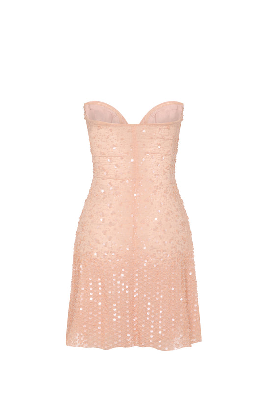 Embellished Sweetheart-Neck A-Line Mini Dress in Apricot